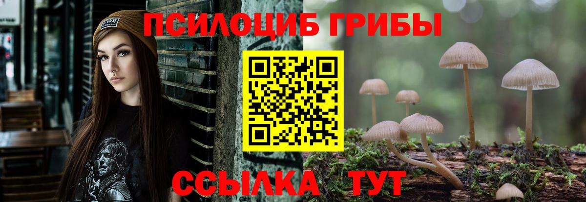 где можно купить наркотик  Галлюциногенные грибы ЛСД  Вход с VPN  Новокуйбышевск  Галлюциногенные грибы Cubensis 