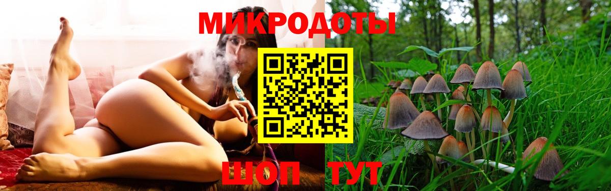 Галлюциногенные грибы прущие грибы Новокуйбышевск